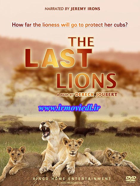 دانلود مستند آخرین شیرها با دوبله فارسی The Last Lions 2011