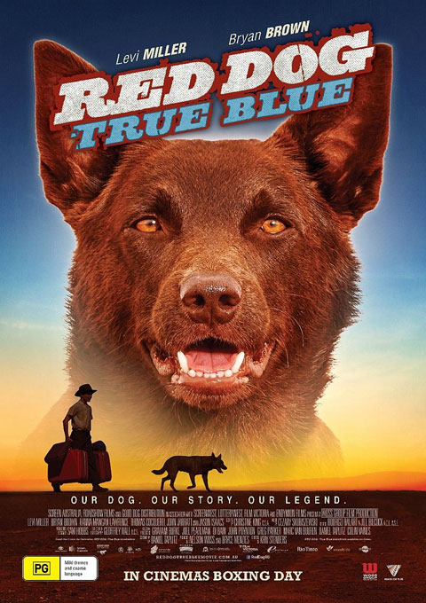 دانلود فیلم دانلود فیلم سگ قرمز آبی واقعی  Red Dog True Blue 2016